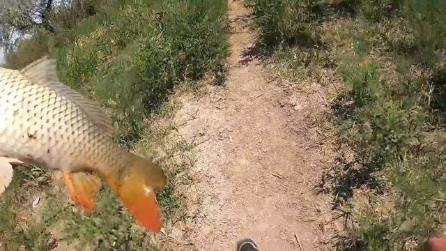 Акколь. Июль. Рыбалка на р.Или 2021 смотреть онлайн