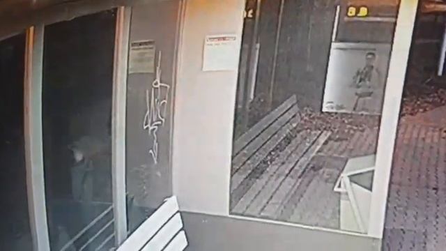 Неизвестные «испачкали» рисунками остановку в Благовещенске