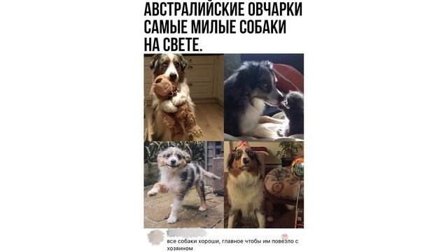 ЛЯ, КАКИЕ ВАЗОЧКИ! ))) Приколы | Мемозг 1067