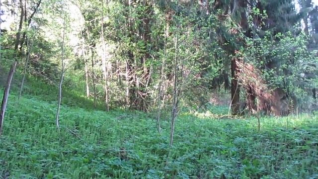 Место древнего поселения у выхода жилы голубой глины смотреть онлайн