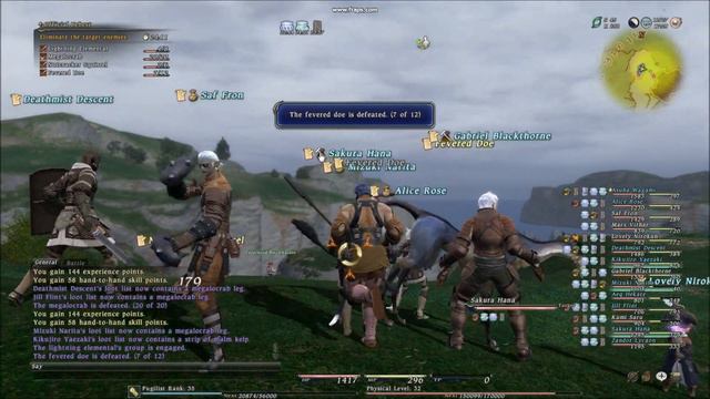 Final Fantasy XIV Gameplay