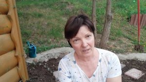 Как сажать душистый горошек. Простые правила красивого сада