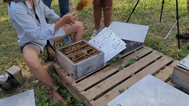 Tucka Explains Catching Queens and Comfort Hive Basics смотреть онлайн