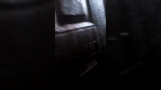 Блокадный Ленинград в Барнауле 2018# смотреть онлайн