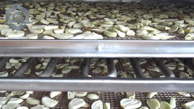 Сушка чеснока. ?Инфракрасная сушилка для чеснока — УКРСУШКА смотреть онлайн