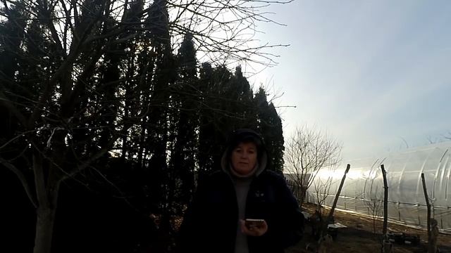 ВАЖЛИВО . Купляємо курей.!! ЯКИХ ? ДЕ ? КОЛИ ?.. птахівництво для початківців. смотреть онлайн