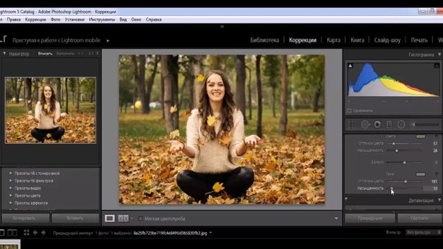 Обработка осенней фотографии в Lightroom смотреть онлайн