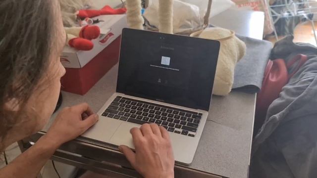 Macbook pro M1 a2338 secrets menu unlocking activation lock help смотреть онлайн