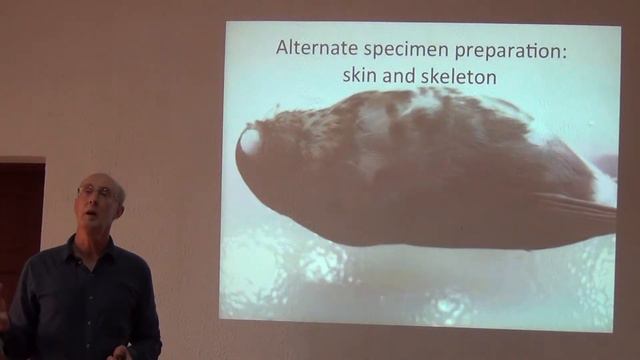 BITC / Biodiversity Inventories - Bird Data I смотреть онлайн
