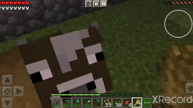 2. Пополняем запасы КОСТНОЙ МУКИ для фермы Майнкрафт. Креатив. Minecraft farm смотреть онлайн