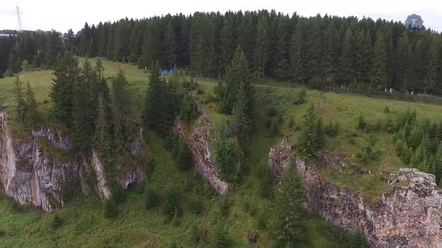 Когда деревья были большими смотреть онлайн