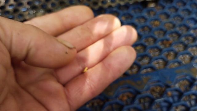 Дошел до крупного смотреть онлайн