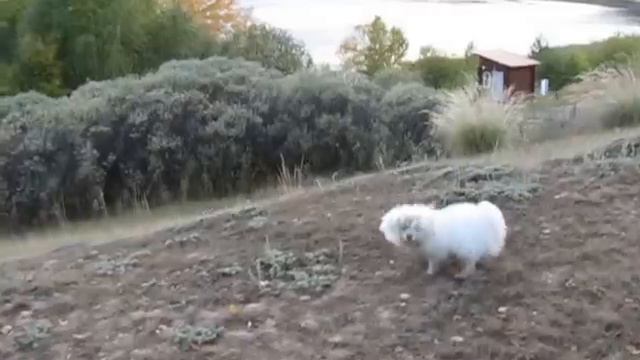 Ким Бесинджер, 7 месяцев смотреть онлайн