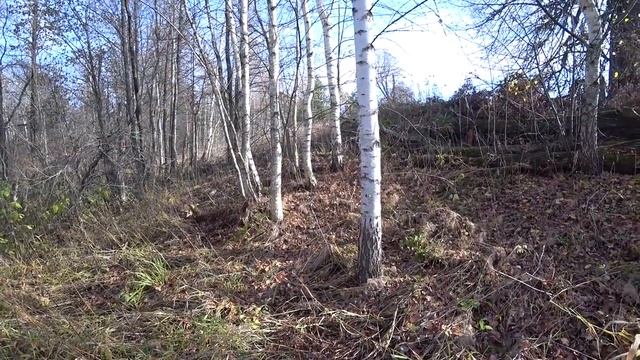 С ВИДУ ОБЫЧНЫЙ СТАРЫЙ САРАЙ, НО КОГДА РАЗОБРАЛИ КРЫШУ ПОНЯЛИ, ЧТО ПОД ЗЕМЛЯНЫМ ПОЛОМ ЧТО ТО ЦЕННОЕ! смотреть онлайн