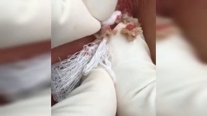 подборка выдавливания прыщей 4 II выдавливание прыща