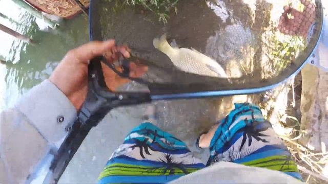 Река ИЛИ | ТРОФЕЙНЫЙ АМУР | ТОПЧАНЫ | САМЫЙ РАБОЧИЙ ТОПЧАН смотреть онлайн