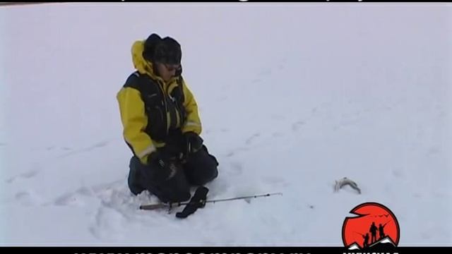 Ловля на балансир зимой смотреть онлайн