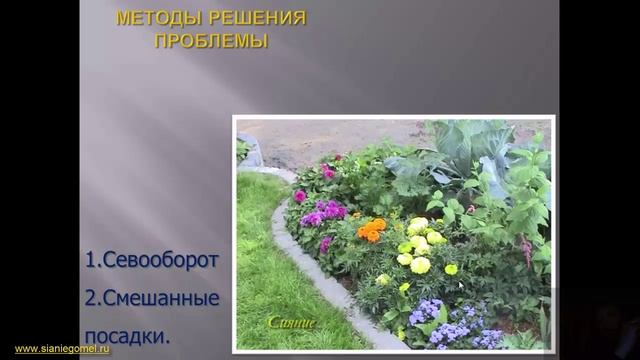 Защита растений от болезней смотреть онлайн