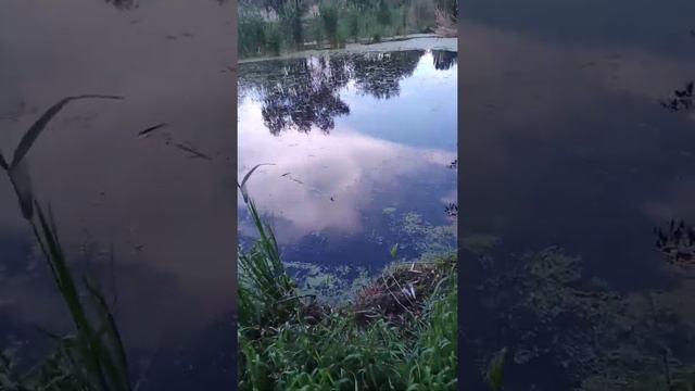 Приехал в посёлок городского типа на речку кильчень. смотреть онлайн