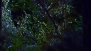 Агульская песня: "БАХТАВАР". Поёт  Шабан Шабанов. Слова Короля Поэтов Фатхулы Джамаля