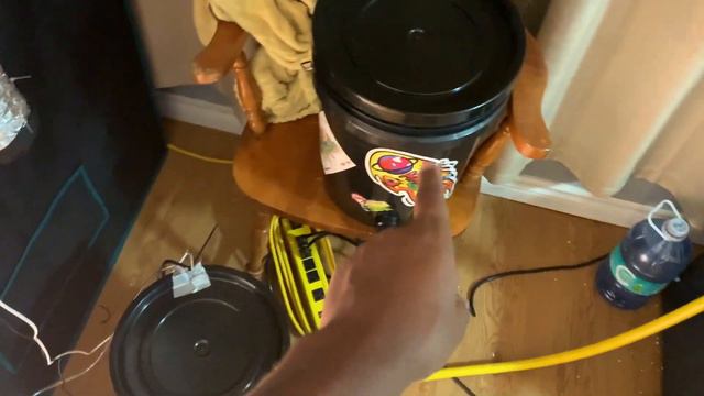 DWC Grow /// Sweet Lavender Cheese /// MONSTERS!!!!!! /// Part 5 смотреть онлайн