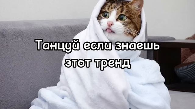 ❤️Танцуй если знаешь этот тренд тикток тренды 2023года❤️3 смотреть онлайн