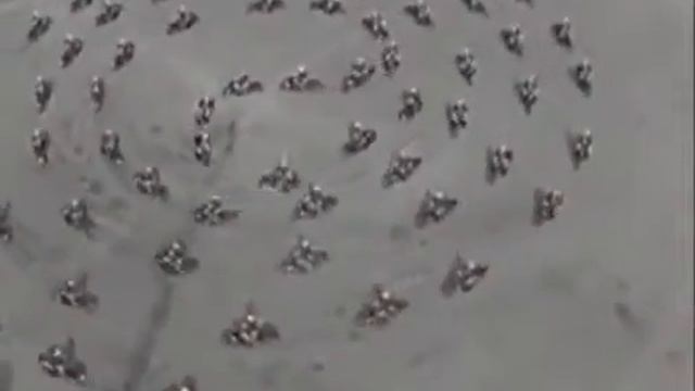 Трюки на мотоциклах смотреть онлайн