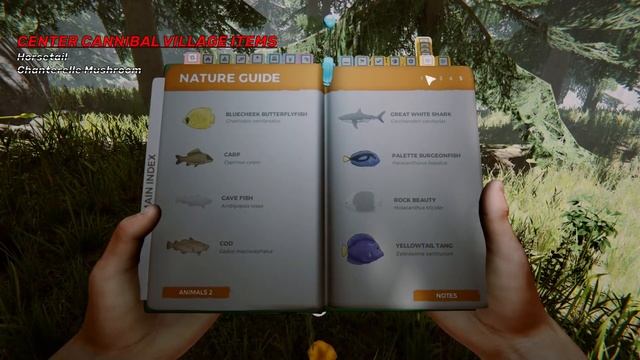 World Items - 100% Completion: Nature Guide Sketches смотреть онлайн
