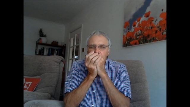 Stone Fox Chase (Old Grey Whistle Test) on Blues Harmonica смотреть онлайн