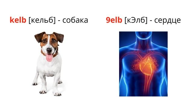 КАК ПРАВИЛЬНО ПРОИЗНЕСТИ СЛОВА НА ДАРИЖЕ. УРОК №1. смотреть онлайн