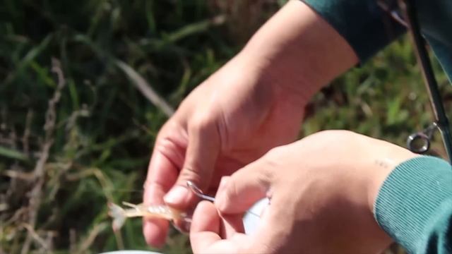 No more Snags with this Float Fishing Rig! смотреть онлайн