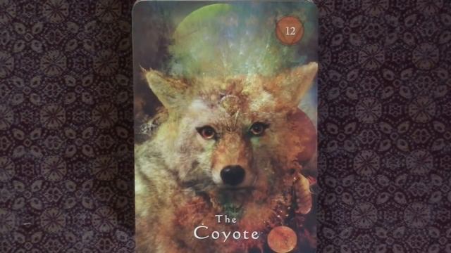 Mystical Shaman Oracle with The Power of Myth смотреть онлайн