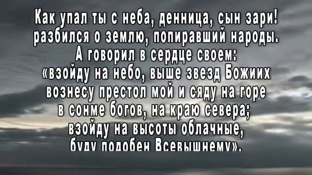 "Новая жизнь- это Я!"Выпуск от 09.12.2014 года. смотреть онлайн