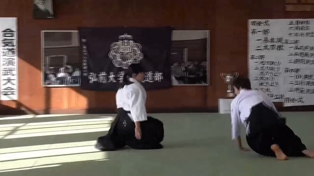 Aikido - Hanmi Handachi Waza смотреть онлайн