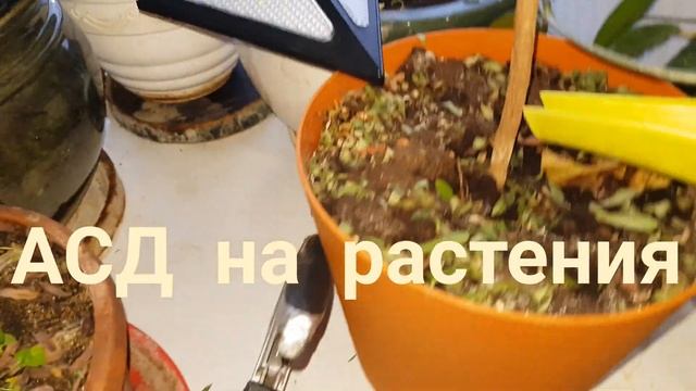 ⚗ Агрономия и АСД-2Ф. АСД на растения (1) 02.01.2019. смотреть онлайн