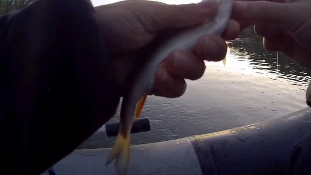 Вечерний клёв в середине сентября смотреть онлайн