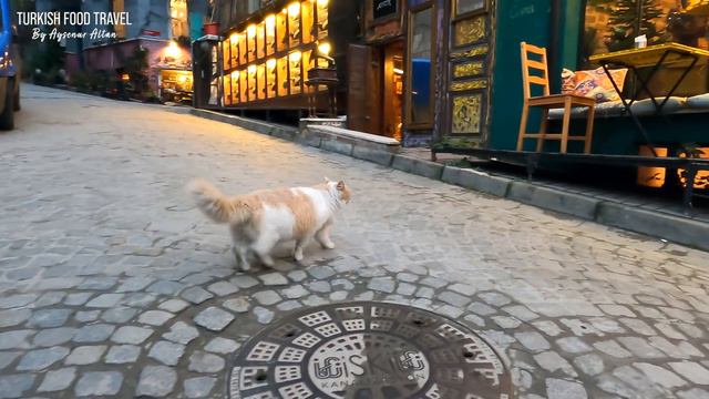 Turkish Teatime / Balat Istanbul Tour ✨ Turkish Cuisine Event смотреть онлайн