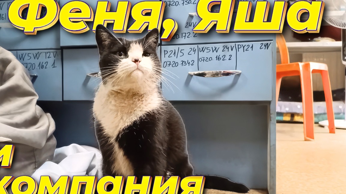 Феня, Яша и компания. смотреть онлайн