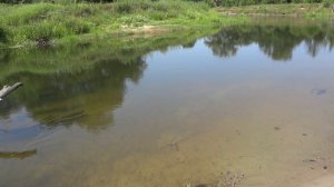 "Стихиали", видео. Роза Мира