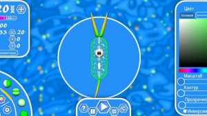 играю за бактерию в игре эволюция видов 2