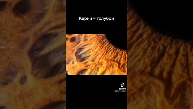 Глаза бывают разные но всё одинаковые смотреть онлайн