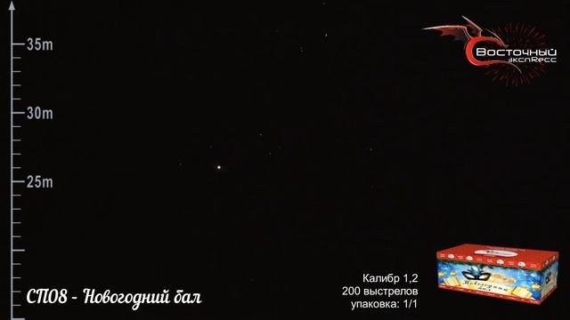 СП08   Новогодний бал