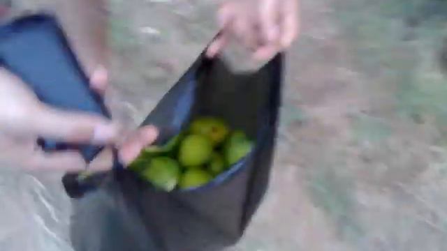 eating figue смотреть онлайн