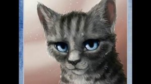 Мои любимые герои из книг «Коты - Воители»