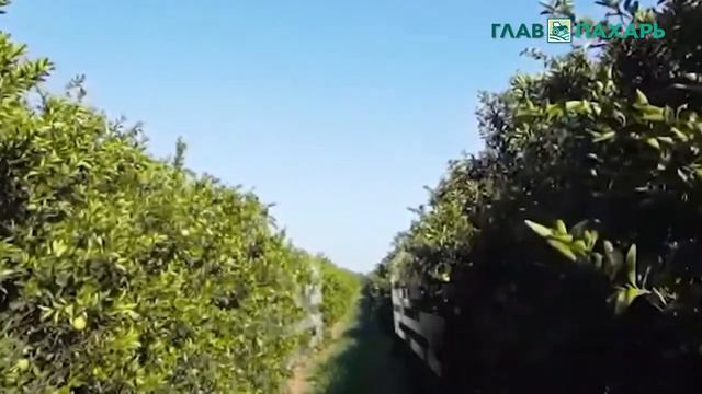 Сельскохозяйственный робот-опрыскиватель Jacto Arbus 4000 JAV