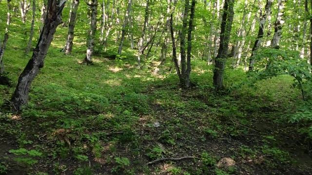 Жесть! Самое радиоактивное место на горе Бештау! смотреть онлайн