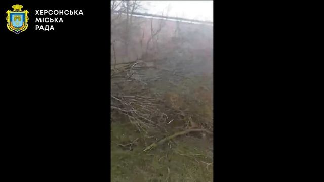 Інспектори "Муніципальної варти" склали протокол на чоловіка, який незаконно зрубав дерево смотреть онлайн