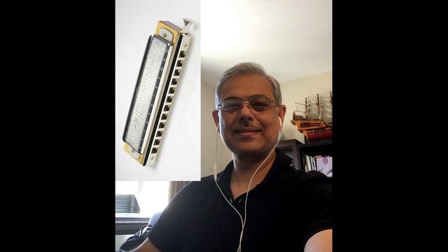 Tico Tico - Slow Harmonica Cover смотреть онлайн