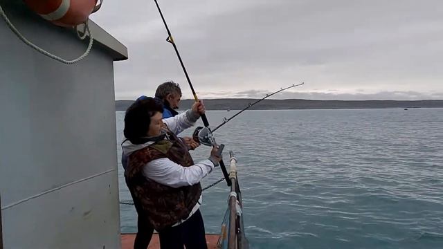 Рыбалка в Баренцевом море смотреть онлайн