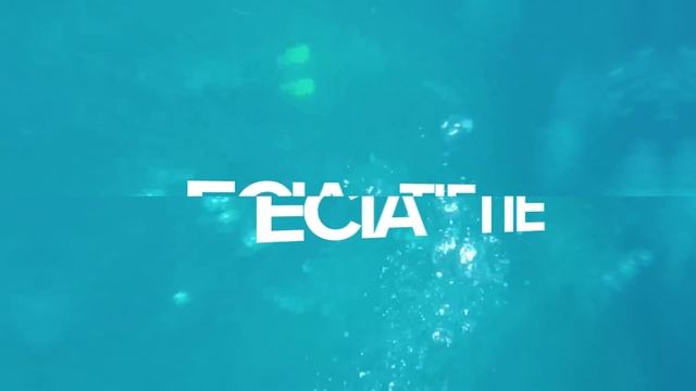 Why Some Scuba Divers Don't Like PADI | Friday Feature смотреть онлайн